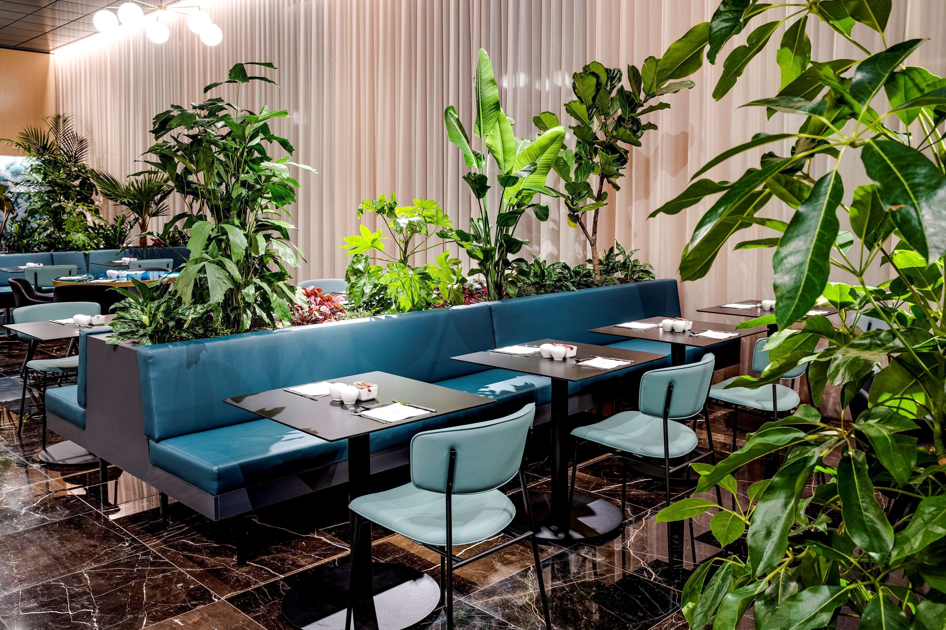 Daily buffet breakfast for a fee