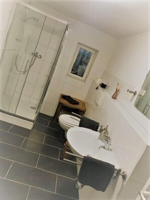 頂級公寓 | 浴室 | 淋浴設備、吹風機、毛巾