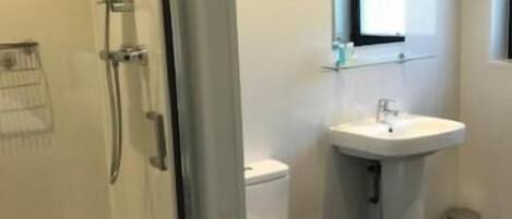 A modern bathroom with a glass shower enclosure, a toilet, and a pedestal sink.
