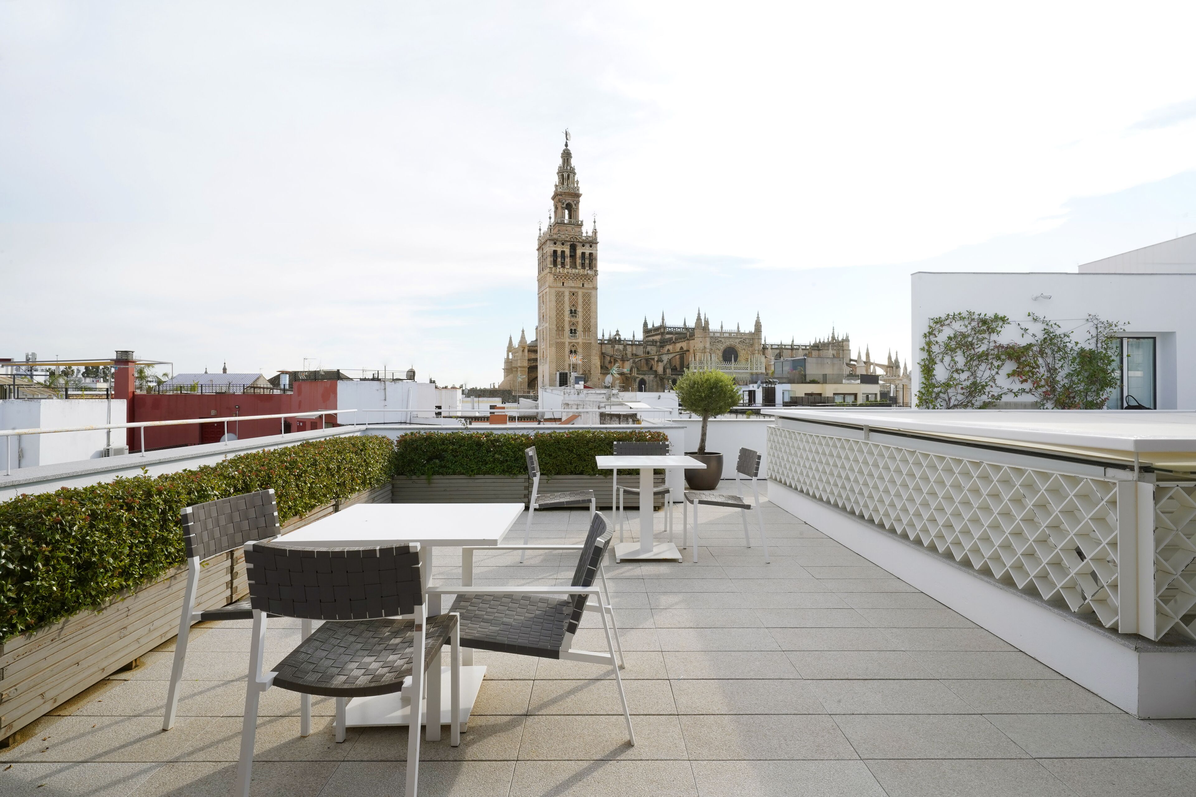 A rooftop terrace with tables and chairs, a view of a historic building with a tower, and a hedge along the edge.