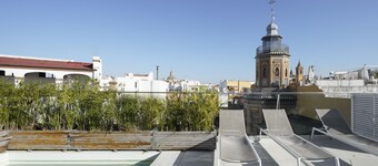 Numa Seville Molina