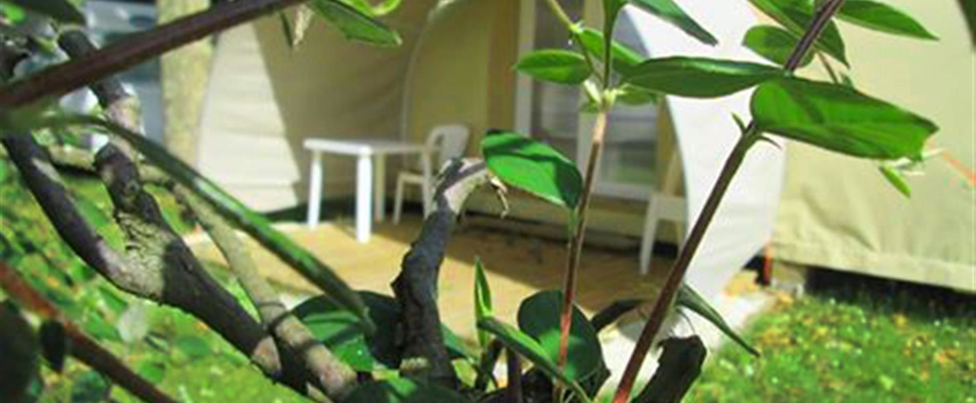 Tent (Coco Sweet) | Terrace/patio