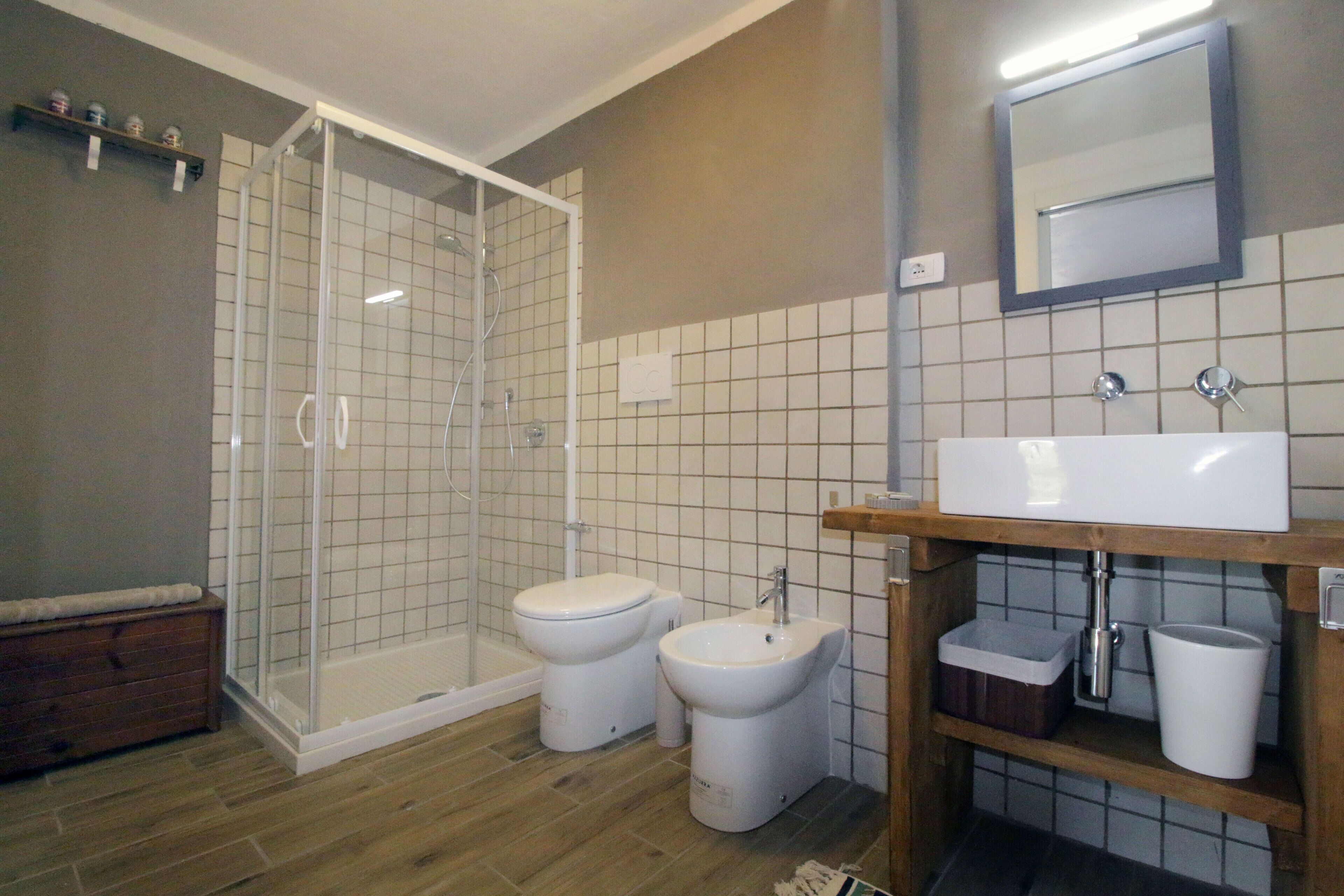 A bathroom with a shower, two toilets, a sink, and a mirror.