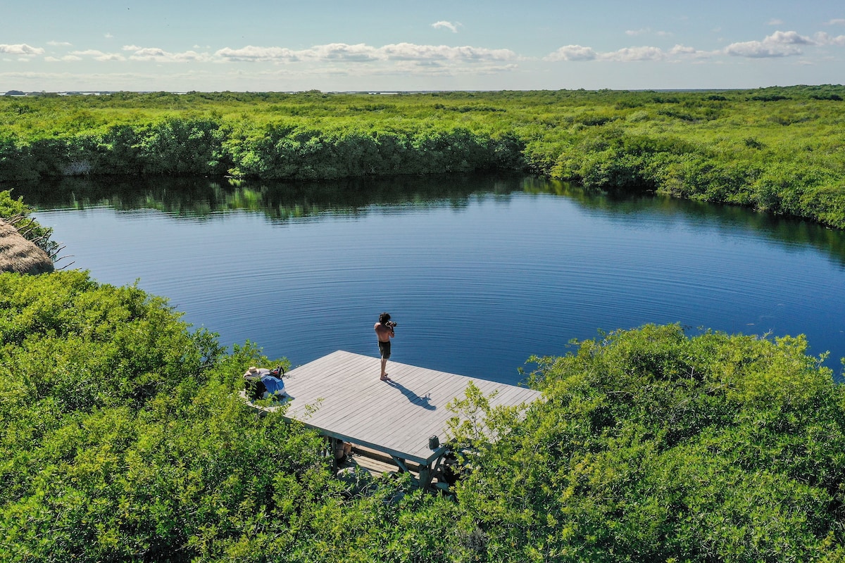 A wooden dock extending into a calm body of water surrounded by dense green vegetation.
