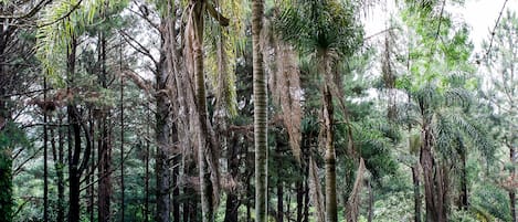 Alberca al aire libre y camastros 