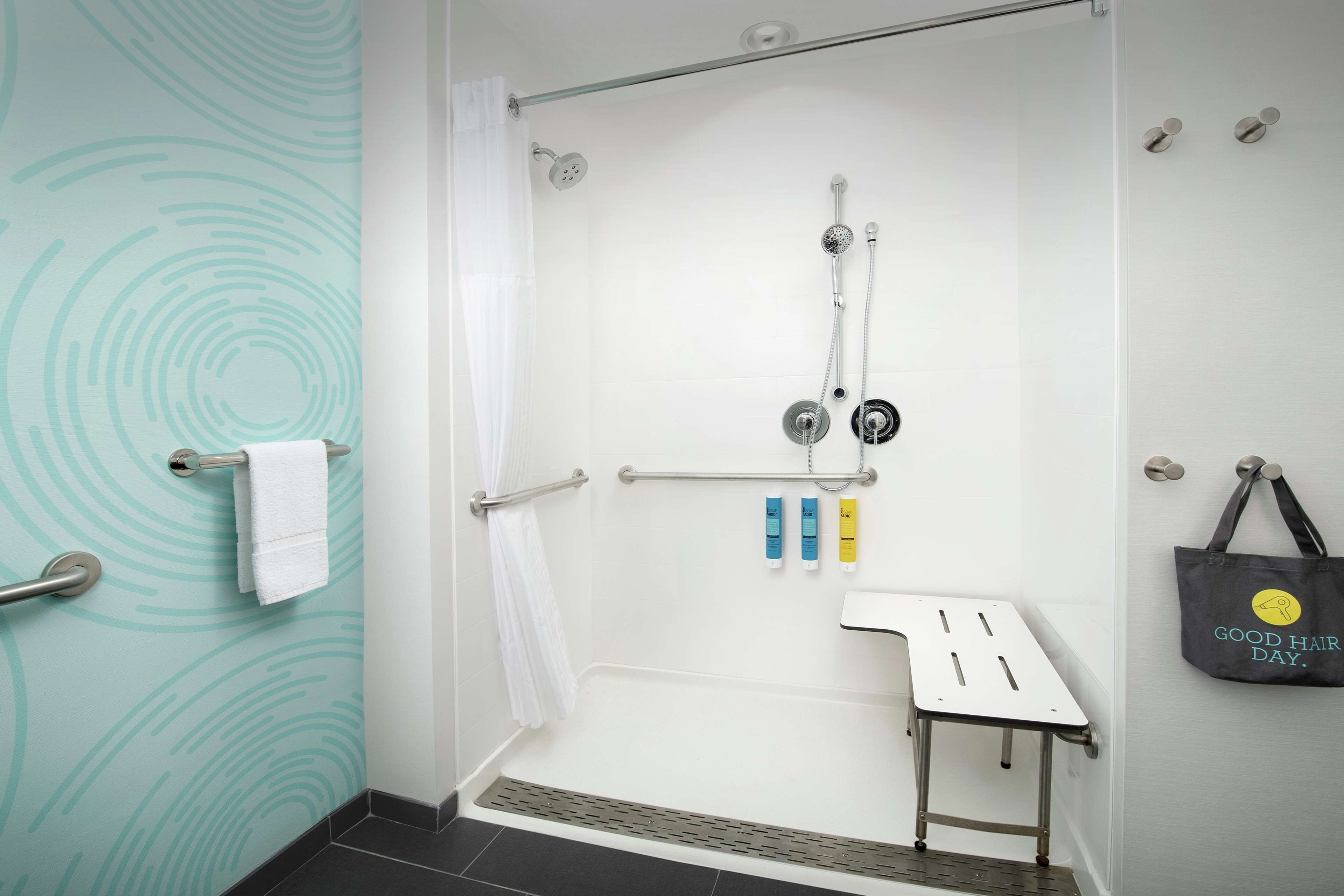 room, 1 king bed, accessible (roll-in shower) | bathroom shower