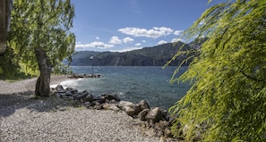 A lakeside view with a rocky shoreline, a tree, and distant mountains.