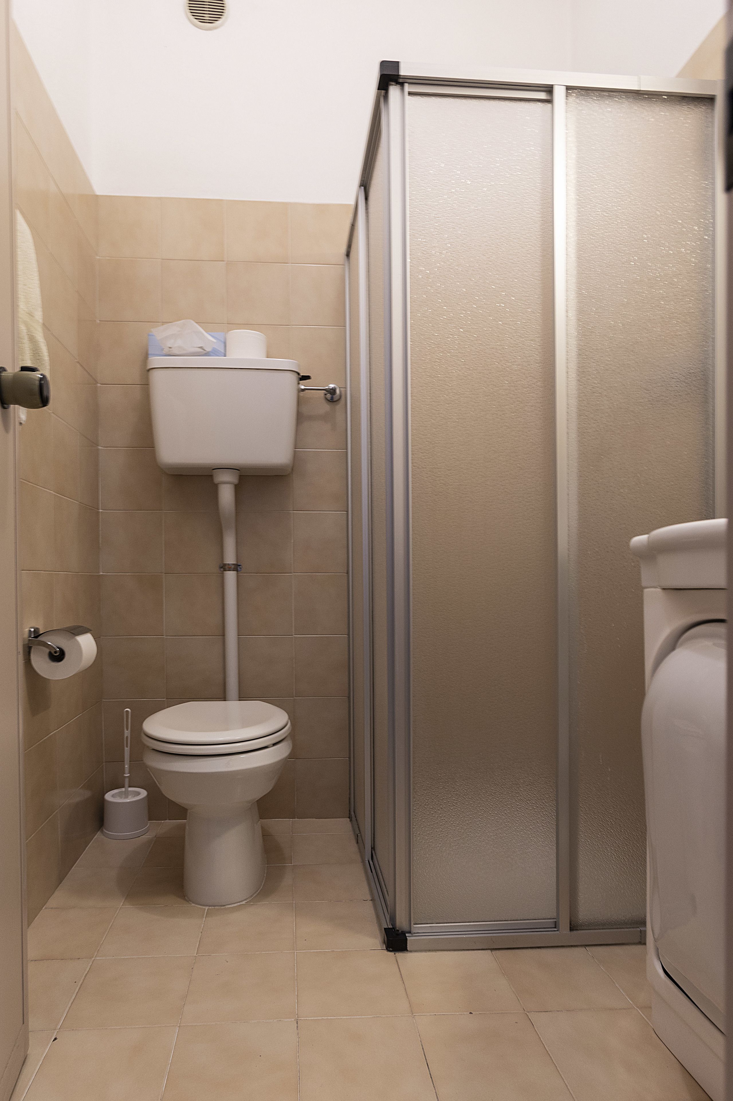 A bathroom with a toilet, a shower enclosure, and a toilet paper holder.