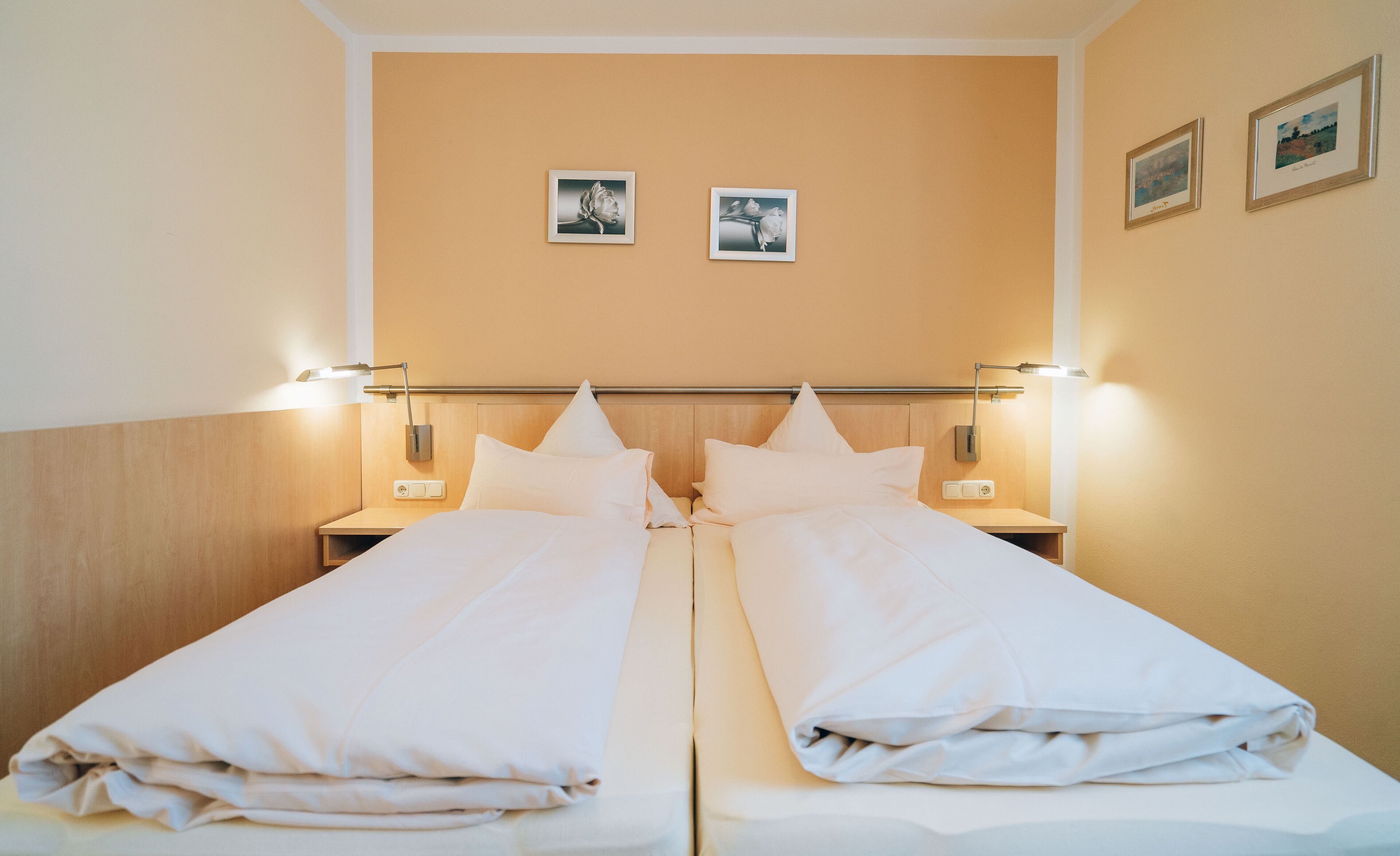 Biancheria da letto ipoallergenica, minibar, una scrivania