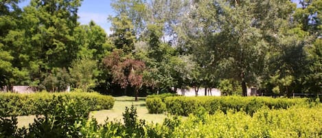 Property grounds