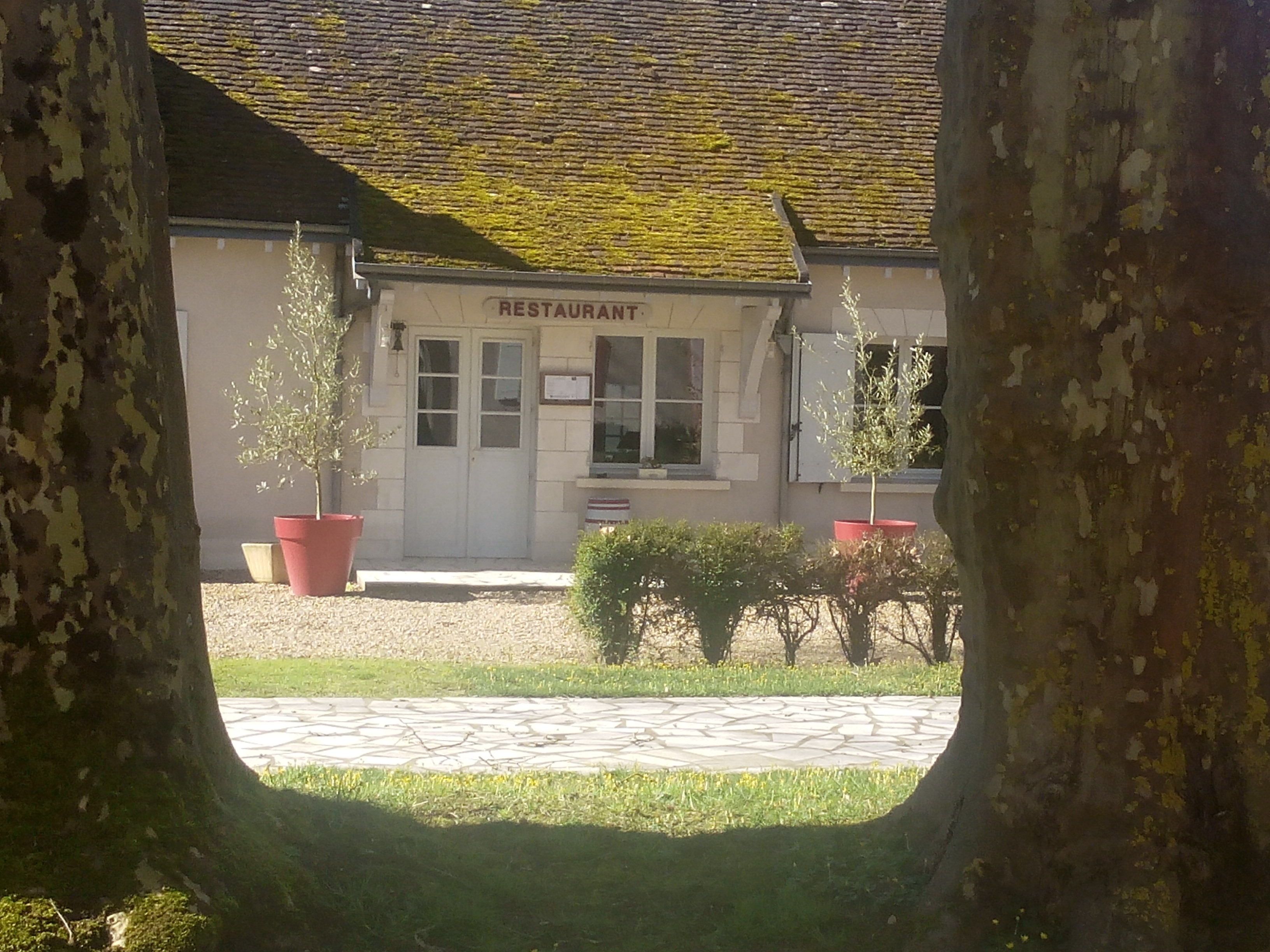 A building labeled 'RESTAURANT' with a tiled roof, potted plants, and a paved entrance.
