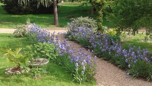 Un jardín con un sendero de grava, rodeado de diversas plantas y árboles.