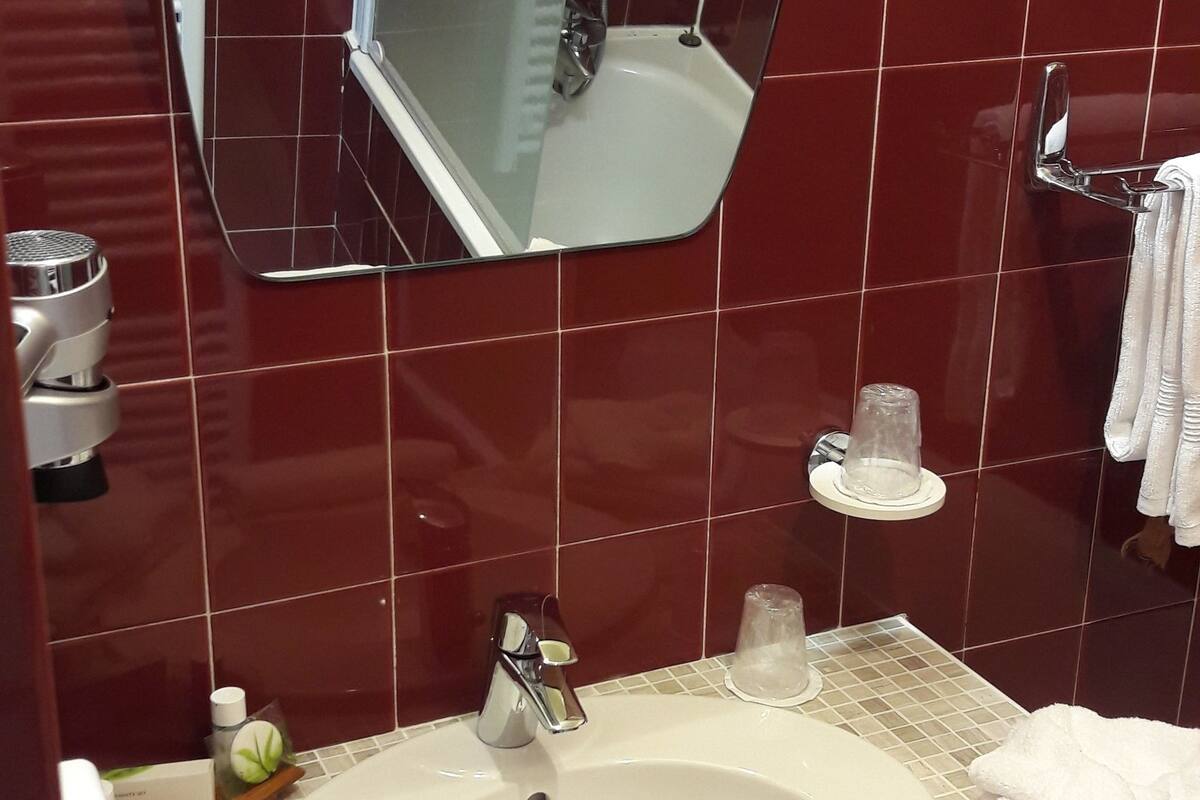combined shower/bathtub, free toiletries, hair dryer, towels