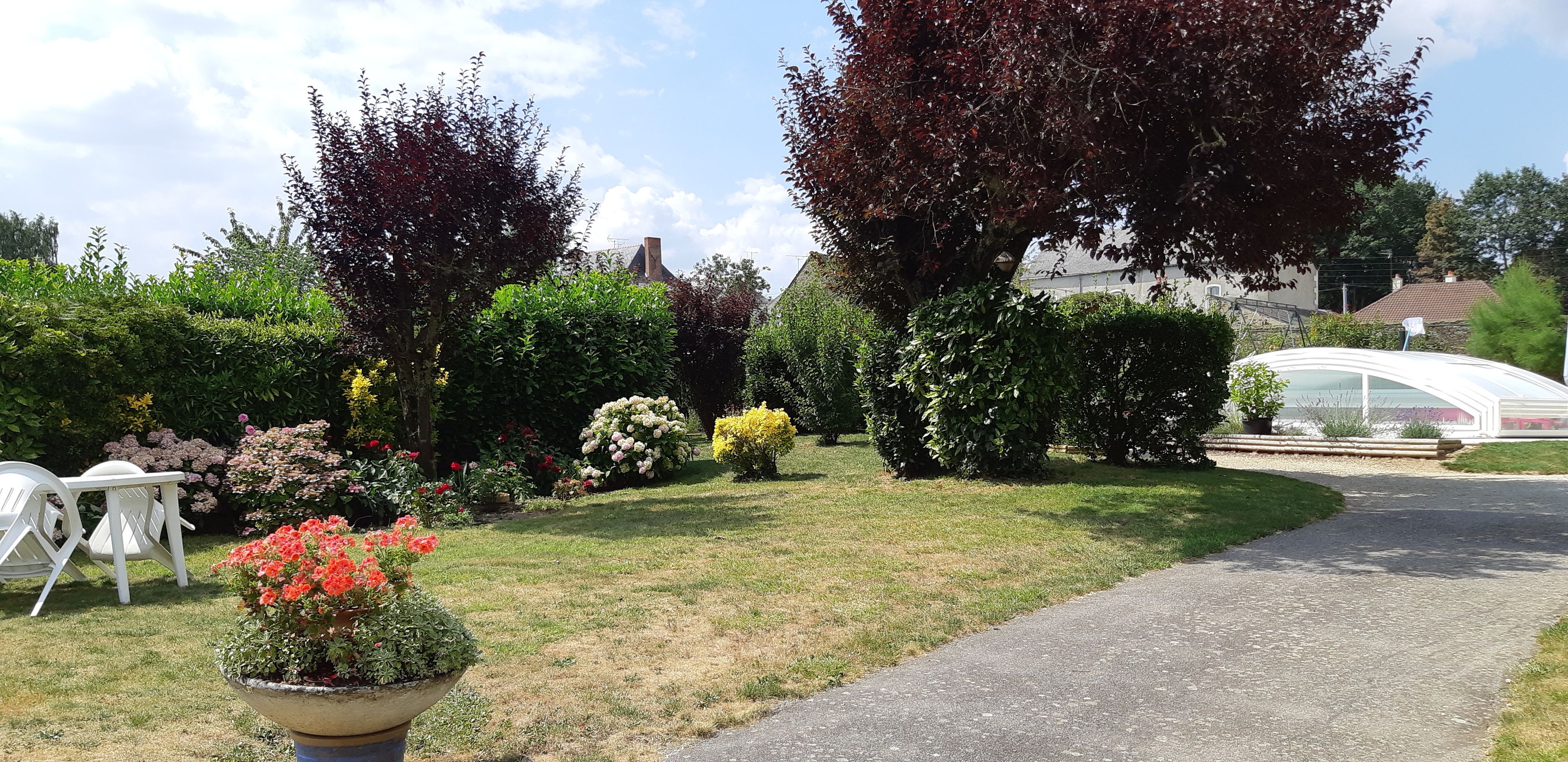 Een tuin met verschillende planten en een kas.