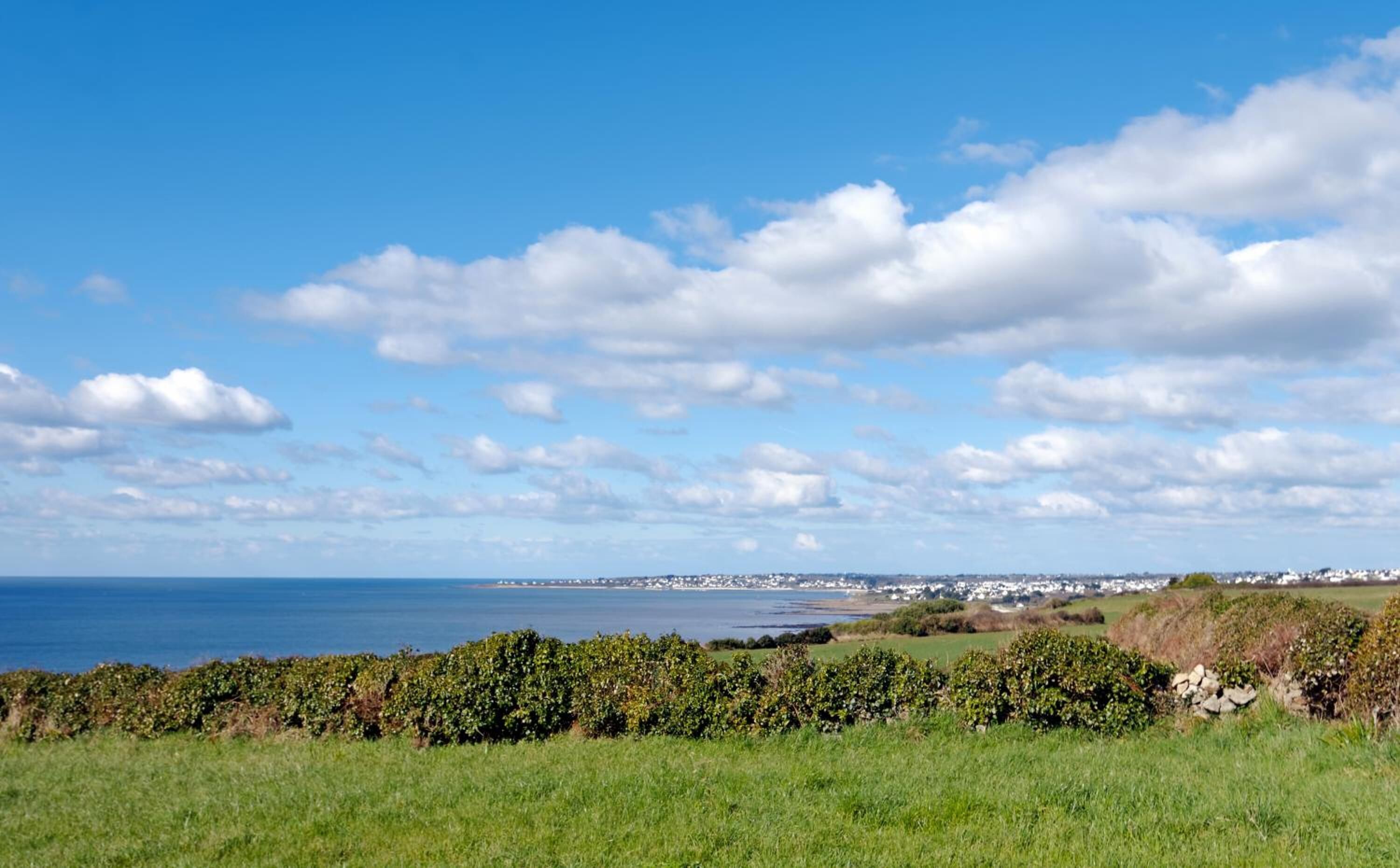 A coastal landscape with a clear sky, a grassy foreground, and a distant view of a town by the sea.