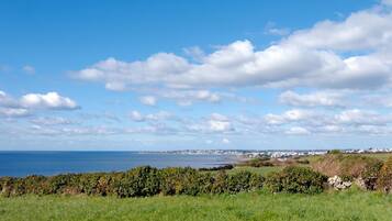 A coastal landscape with a clear sky, a grassy foreground, and a distant view of a town by the sea.