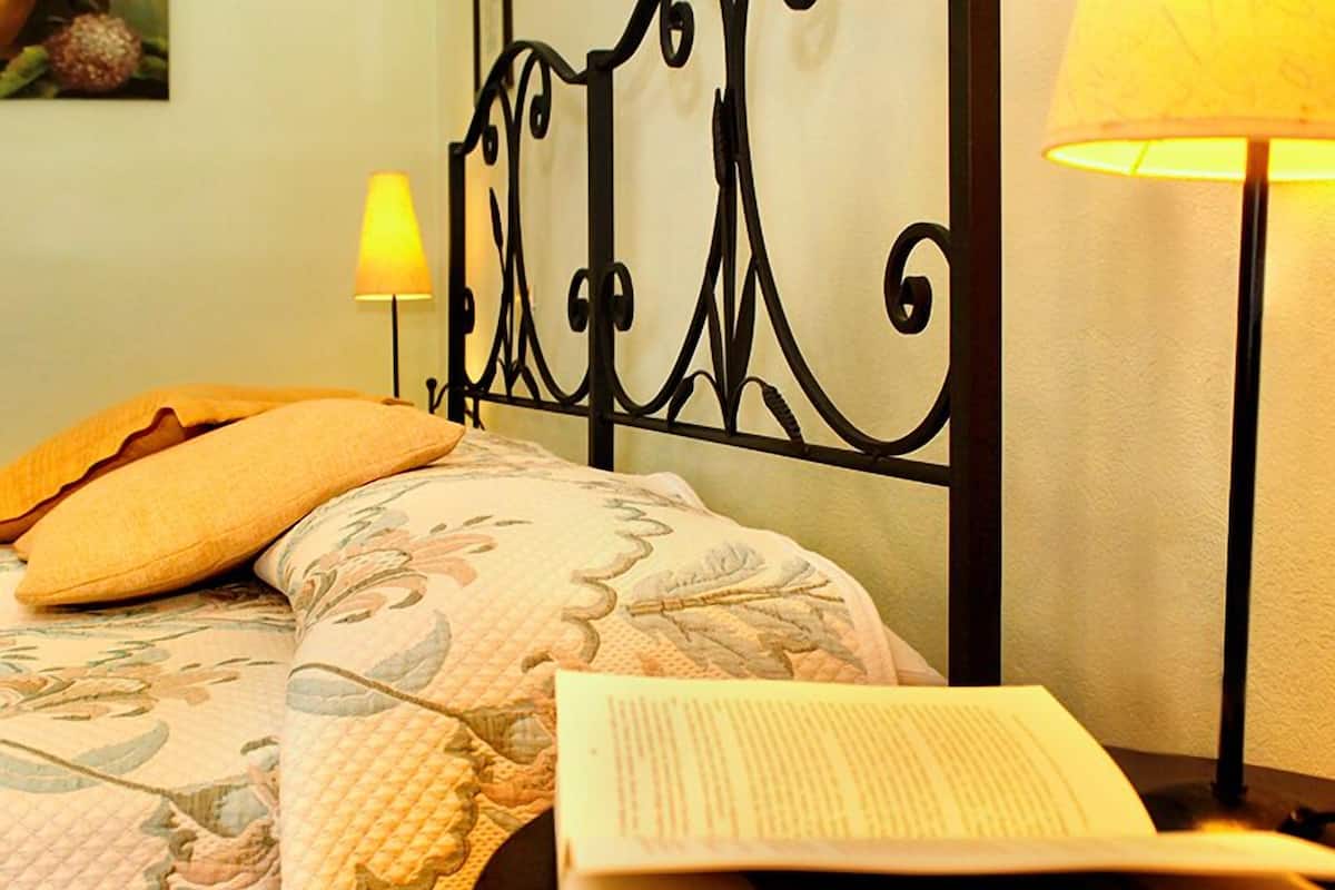 Un lit avec une couvre-lit à motifs, un oreiller, un livre et une lampe de chevet.