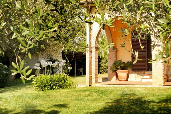 A garden with a brick building, a covered patio, and a potted plant.
