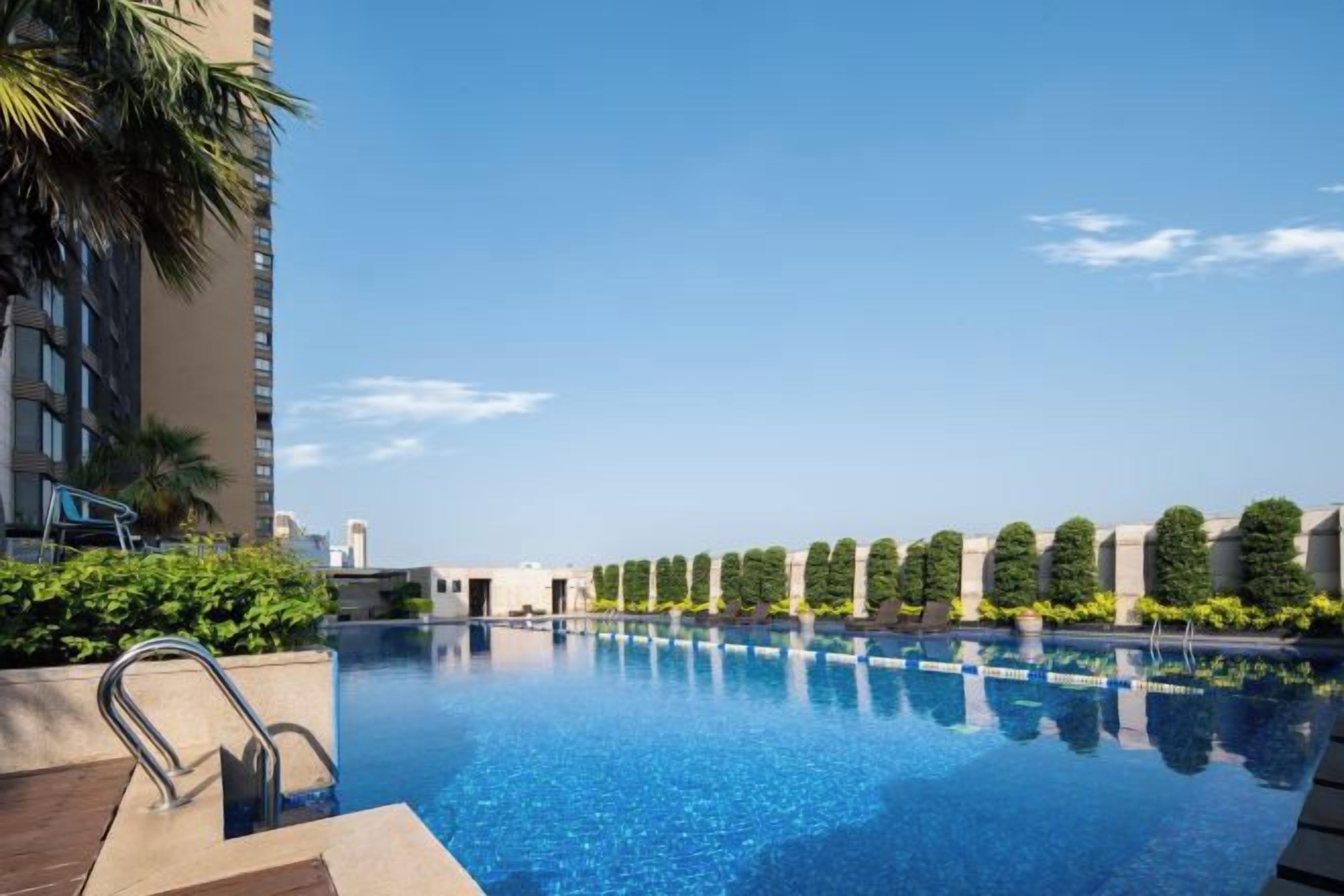 A swimming pool with a clear blue sky, surrounded by greenery and a modern building.