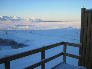 Studio, Accessible, Mountain View | View from room