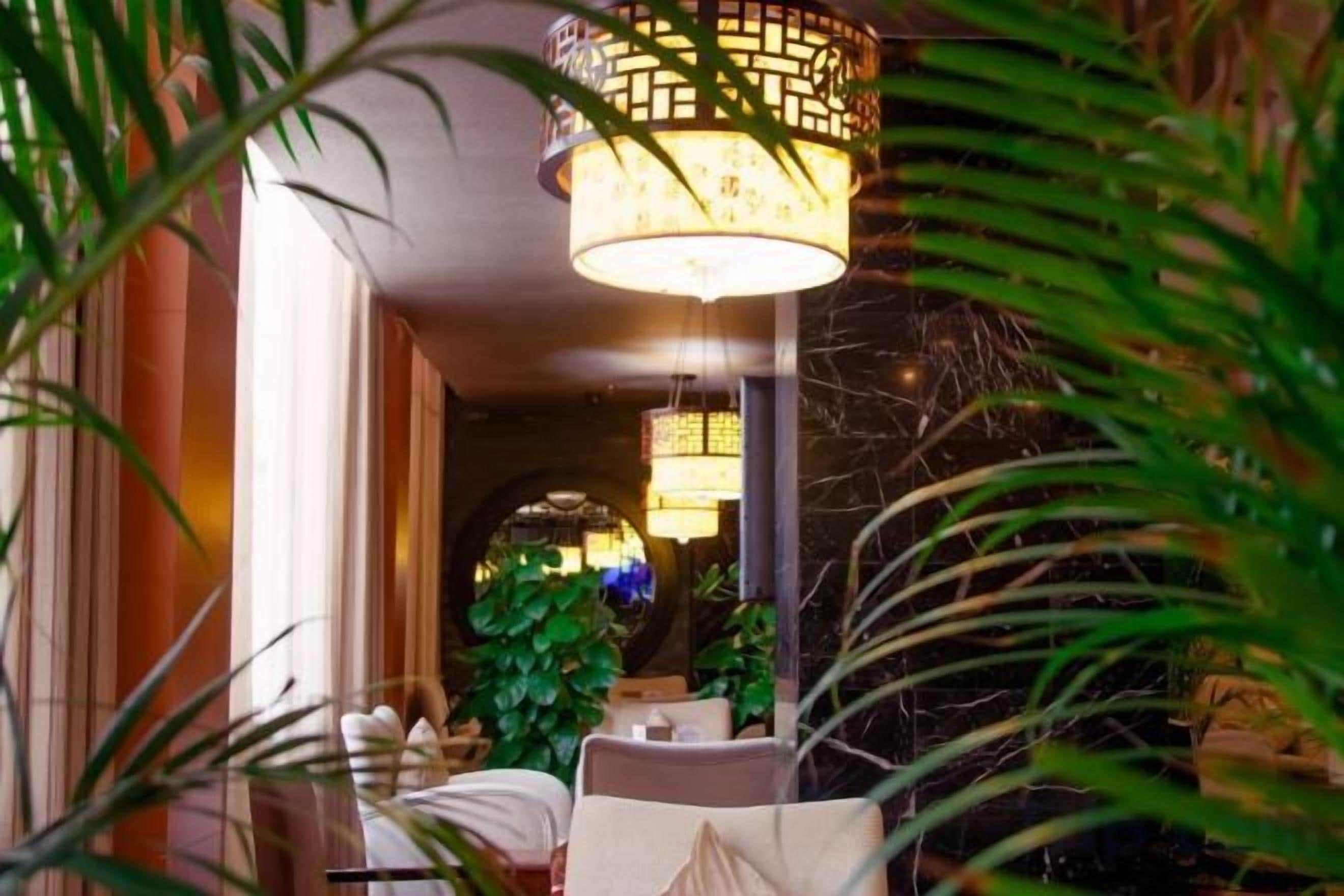A lobby area with a seating arrangement, a hanging light fixture, and a plant.