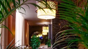 A well-lit indoor area with a seating arrangement, a hanging light fixture, and a large plant in the background. - Cangxi International Hotel (Cangxi)
