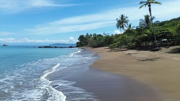 Une plage avec une eau d’un bleu limpide, un rivage sablonneux et des palmiers.