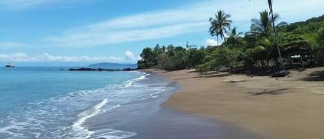 Petit déjeuner et déjeuner servis sur place, spécialités Cuisine locale