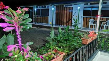 Vista desde la habitación