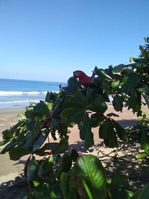 Laptopgeeigneter Arbeitsplatz, kostenloses WLAN, Bettwäsche