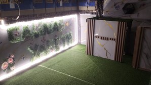 Une pièce dont le sol est recouvert d’un revêtement d’herbe artificielle, un mur décoré de plantes et de papillons, et un mur orné de motifs.
