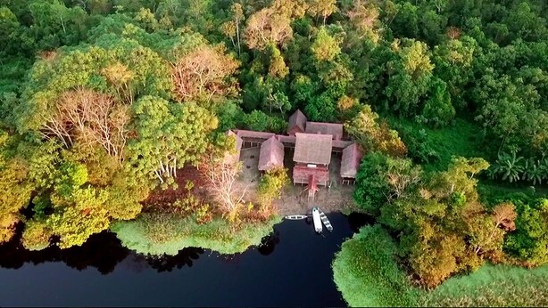 An aerial view of a house surrounded by dense forest and a body of water.