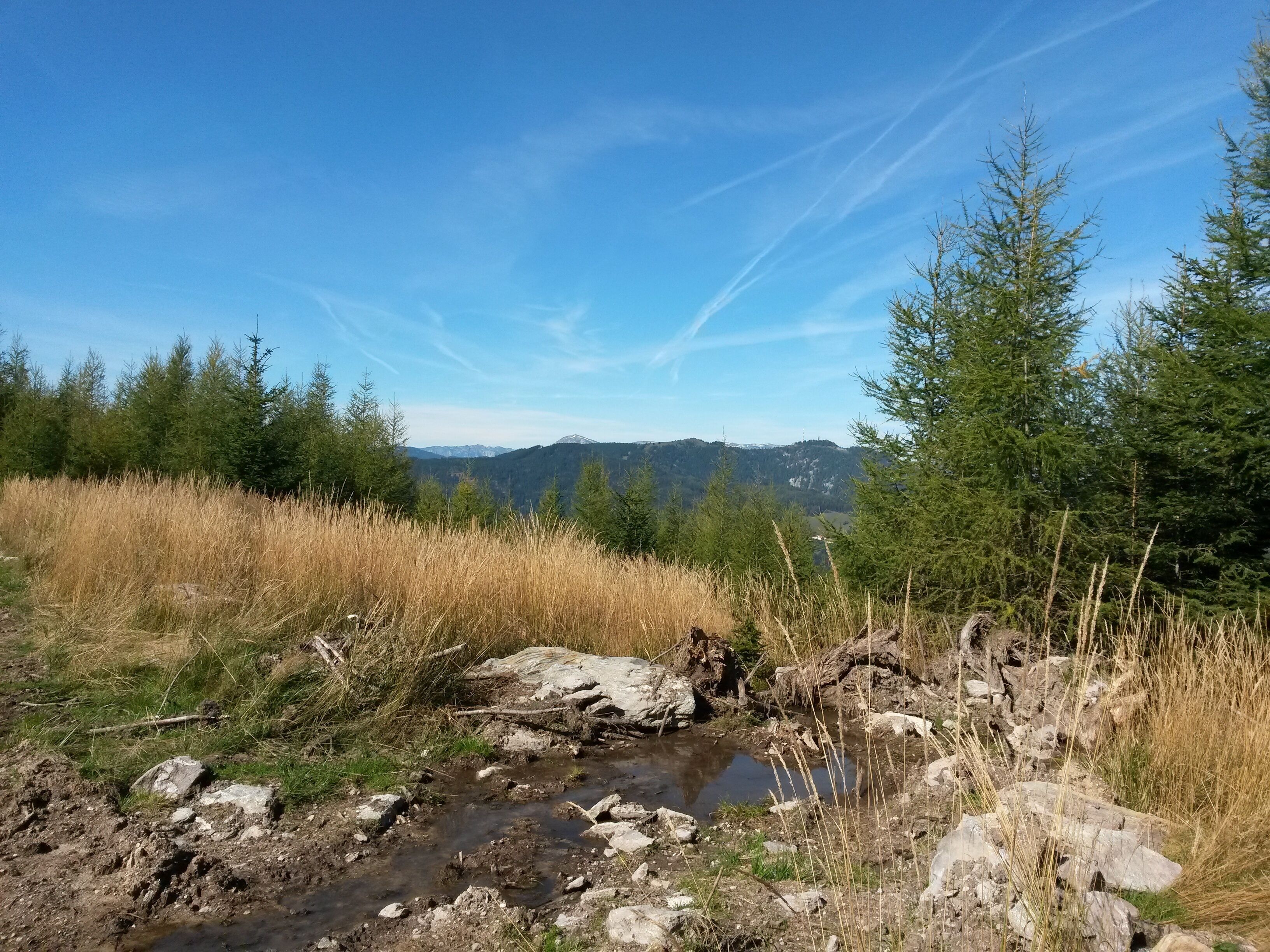 Un paisaje natural con un arroyo, terreno rocoso y árboles de hoja perenne.