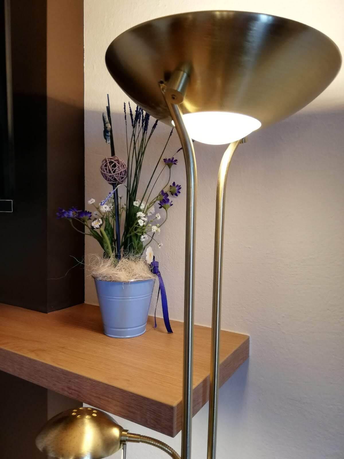 A modern room with a blue potted plant on a wooden shelf, a floor lamp, and a wall-mounted TV.