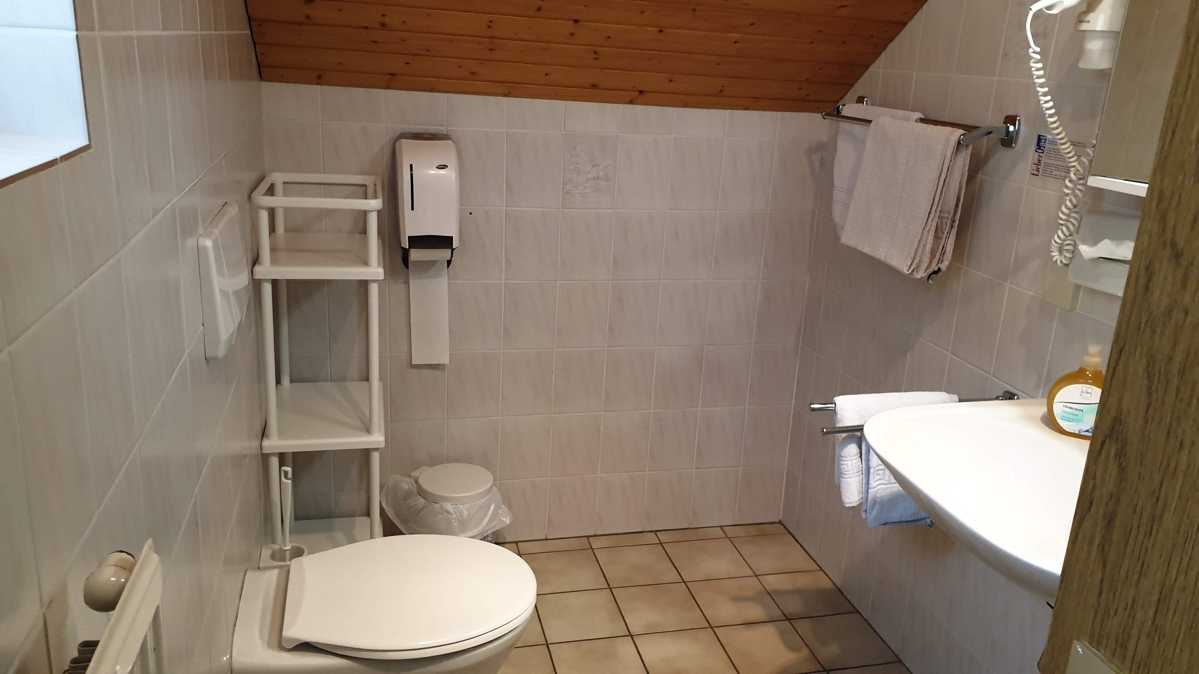 A small bathroom with a toilet, a shelf with a toilet paper dispenser, a sink with a soap dispenser, and a towel hanging on a rack.