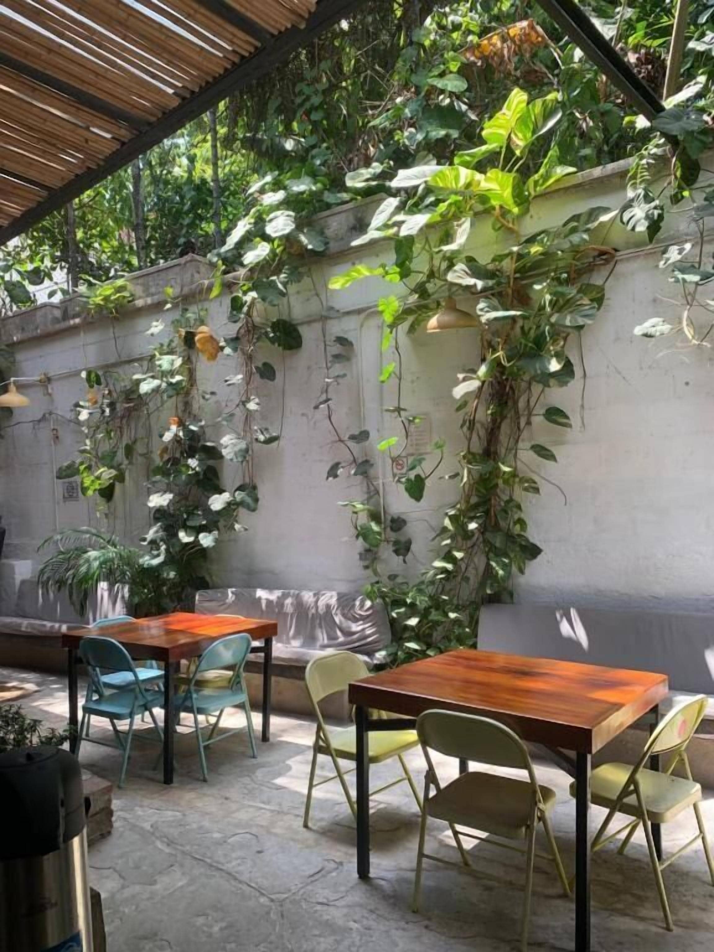 Een terras buiten met tafels en stoelen, omgeven door een muur begroeid met klimplanten.