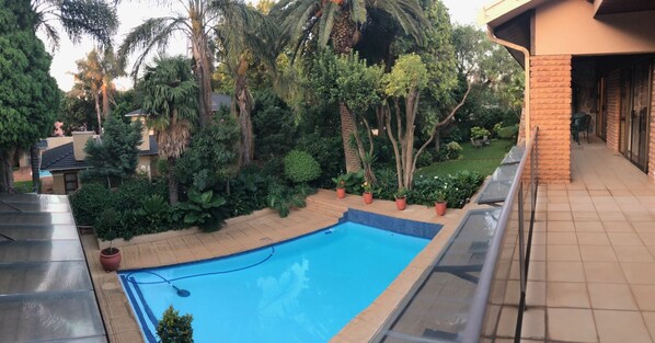 A rooftop pool with a clear blue water surface, surrounded by lush greenery and palm trees.