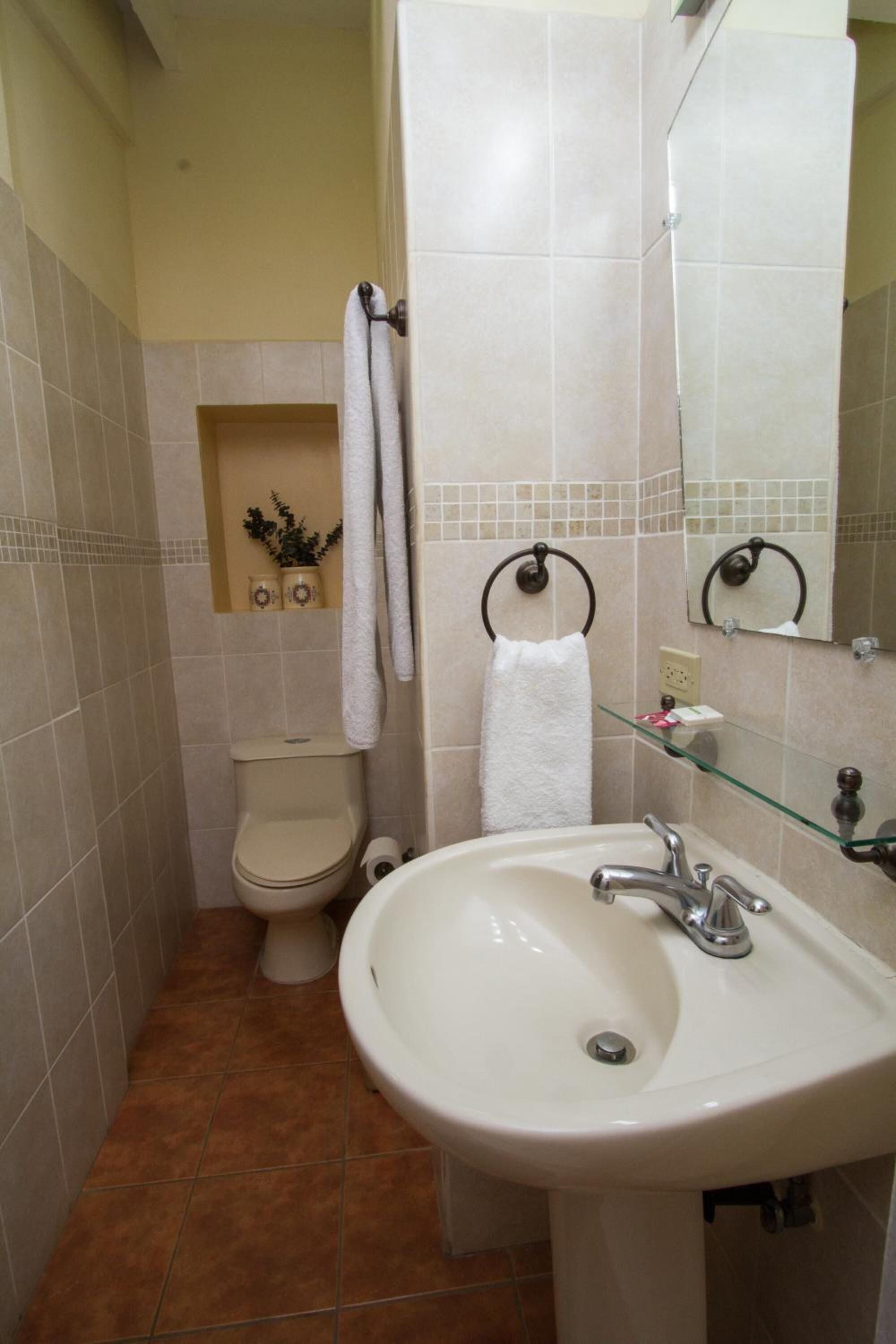 Foto - Hotel Colibri