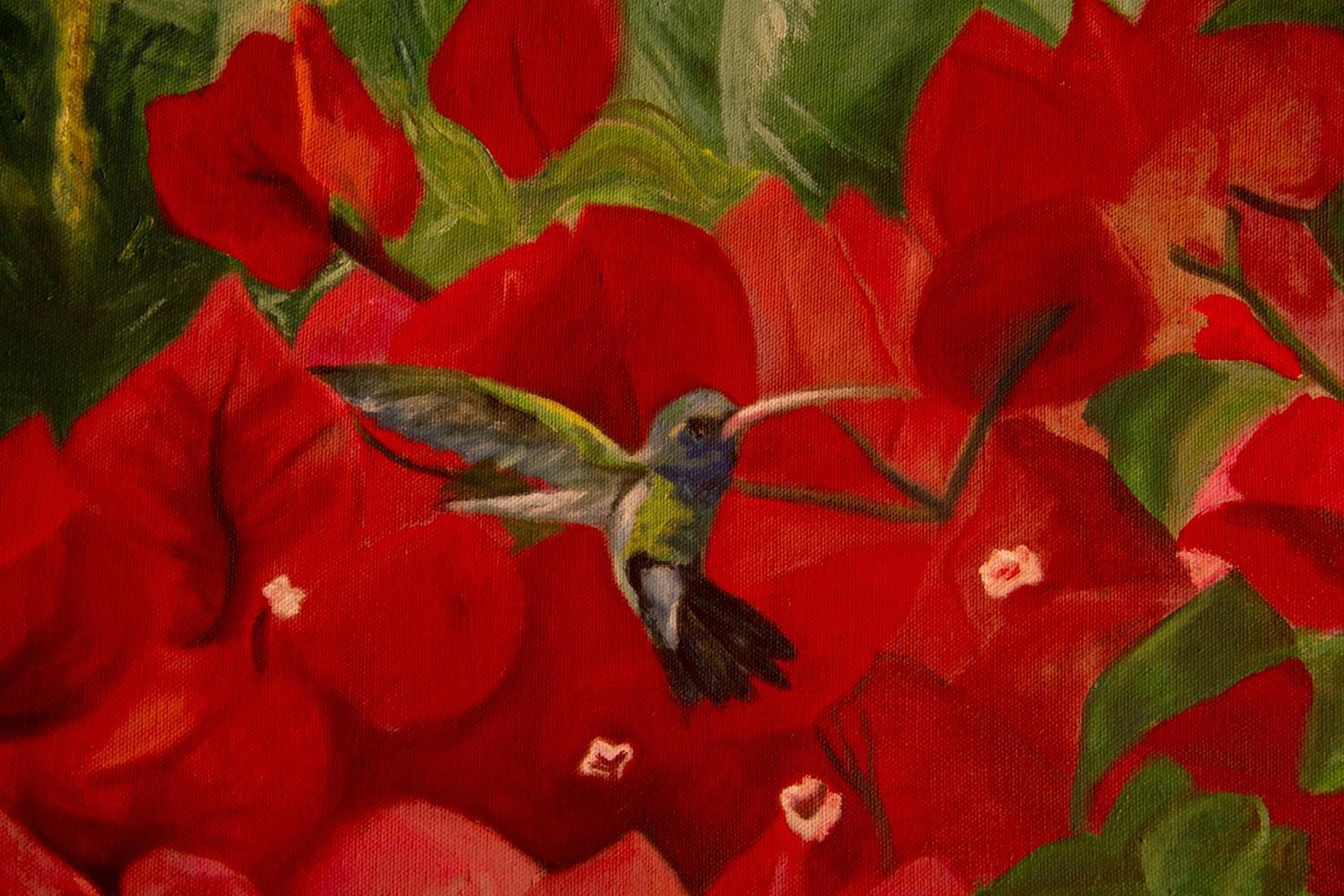 Foto - Hotel Colibri