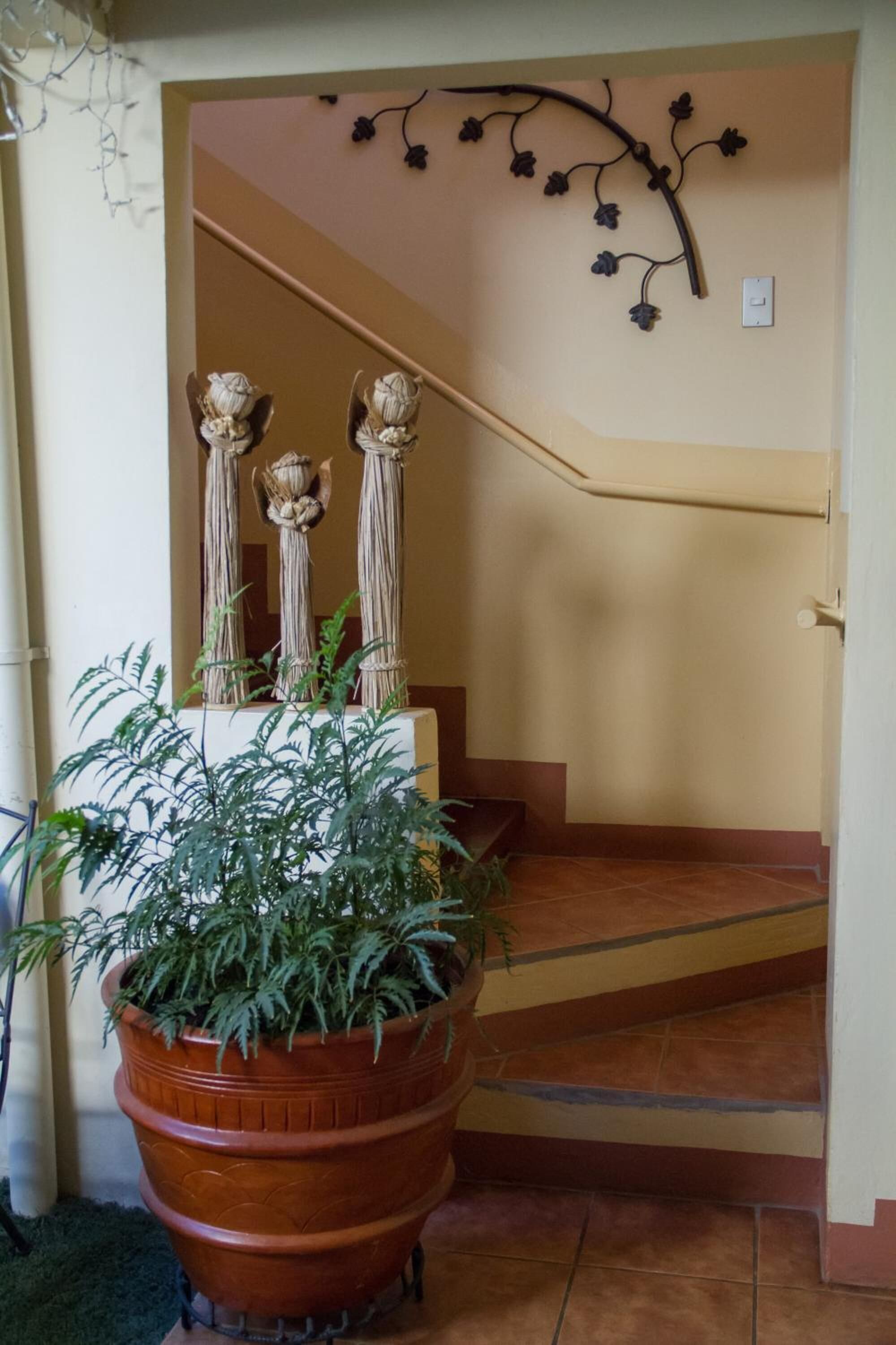 Foto - Hotel Colibri