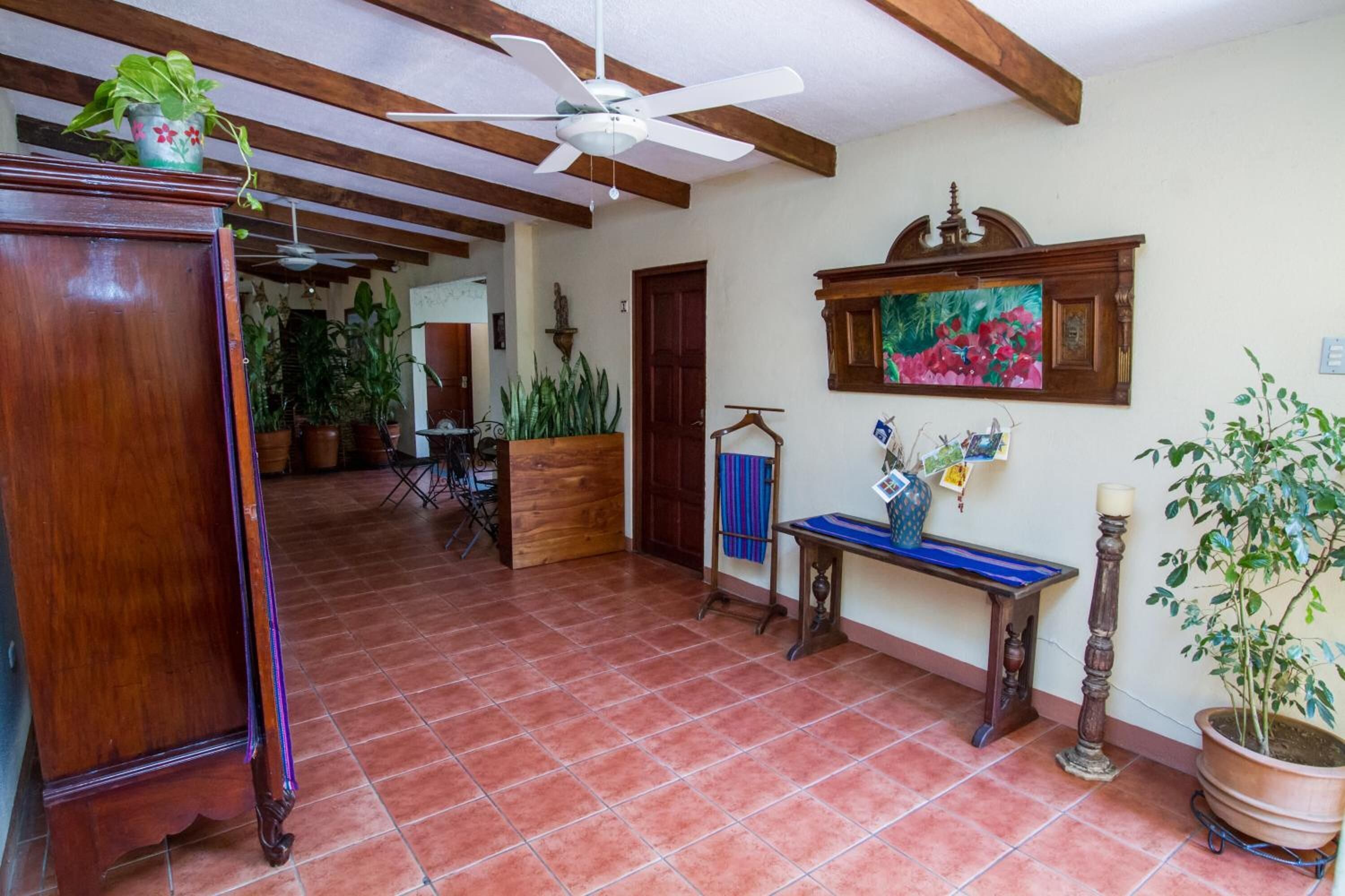 Foto - Hotel Colibri