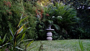 A garden with a stone fountain, lush greenery, and various plants. - Hotel y Desayuno Colibri (Managua)