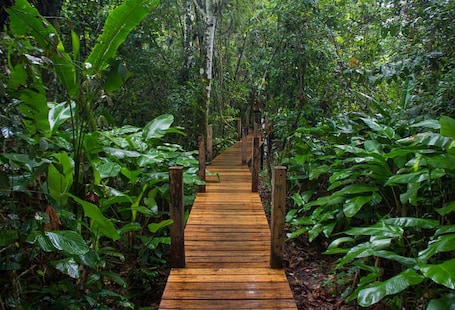 Interior. La Manigua Lodge