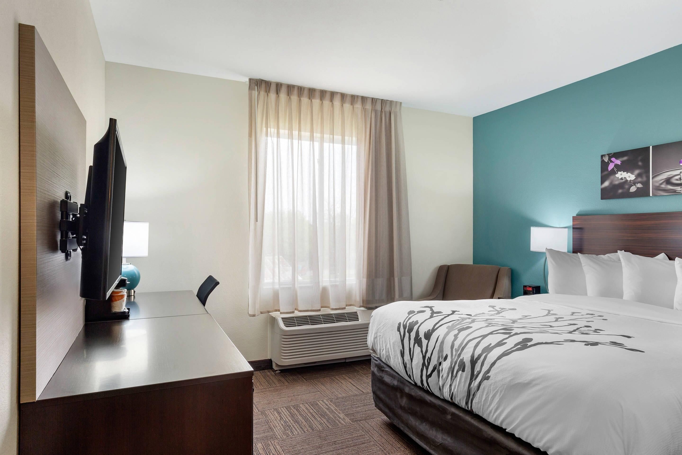 standard room, 1 king bed, non smoking | pillow-top beds, desk, iron/ironing board, free wifi