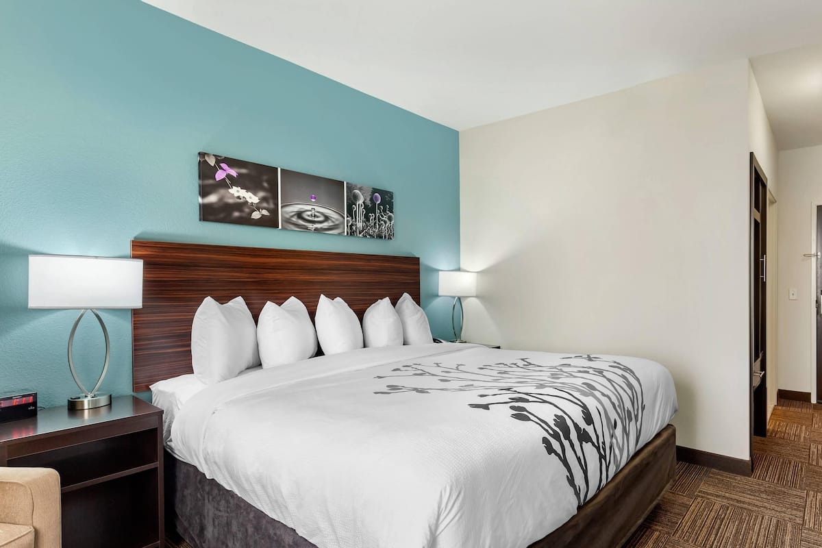 A hotel room with a large bed, two bedside tables with lamps, a wooden headboard, and a wall-mounted artwork above the bed.