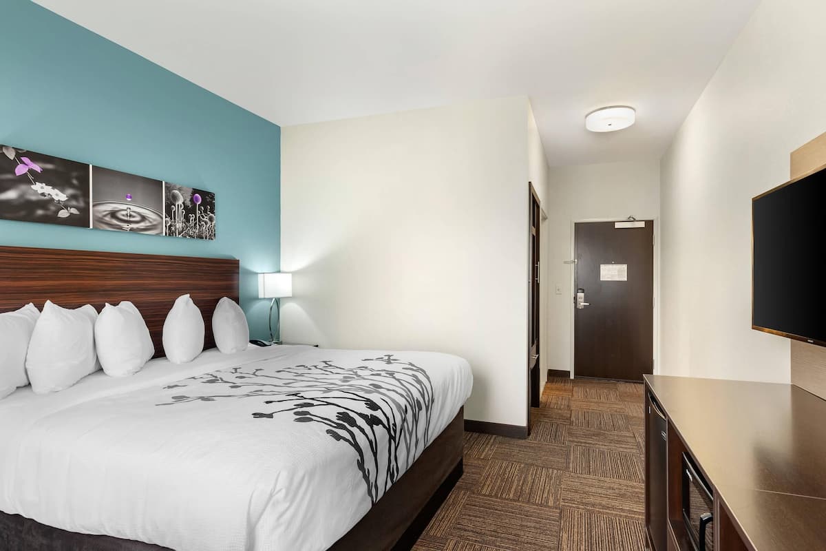 A hotel room with a large bed, a wooden headboard, a flat-screen TV, a desk, and a door leading to a bathroom.