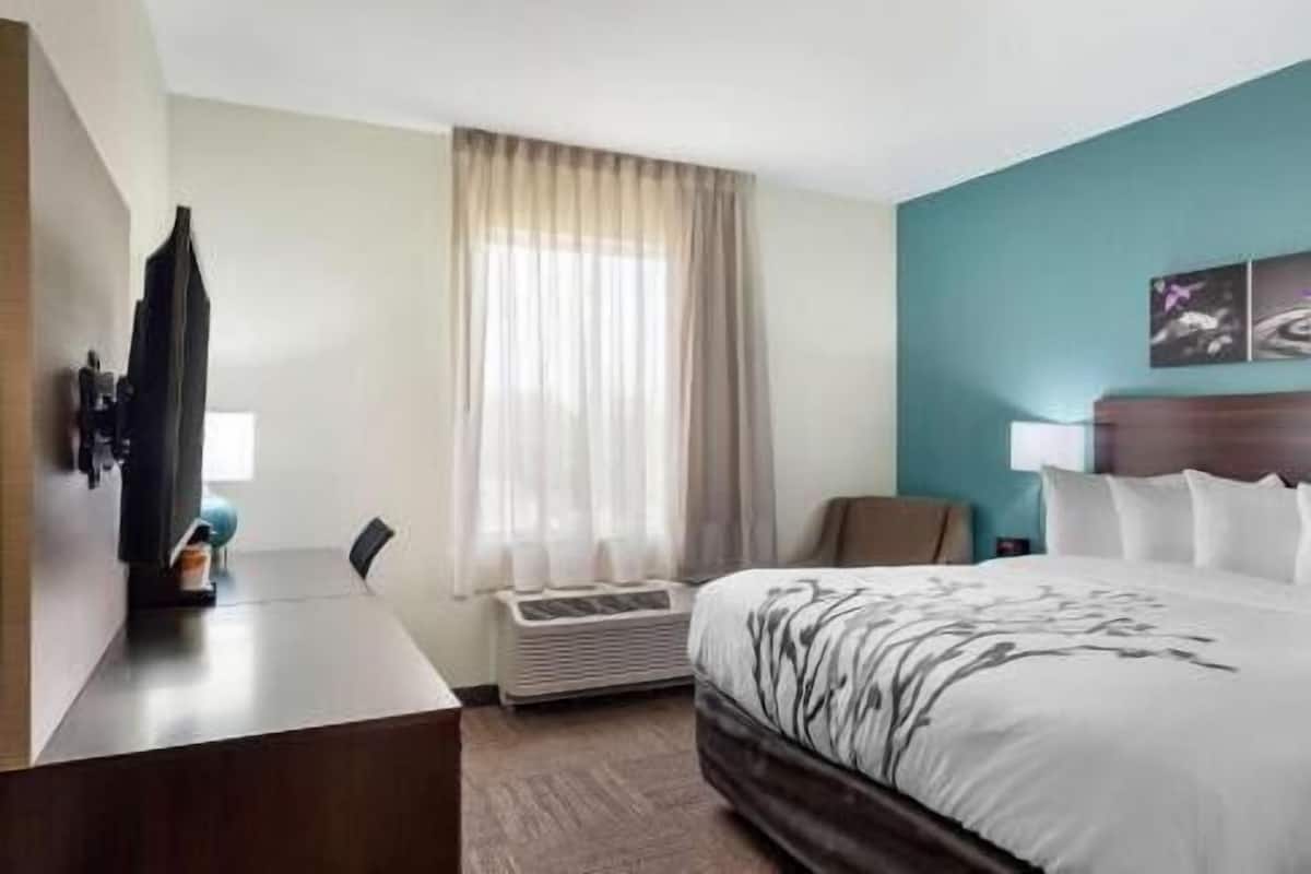A hotel room with a bed, a desk, a chair, a television, and a window with curtains.