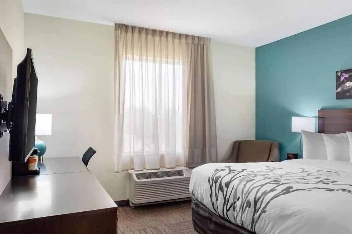 A hotel room with a bed, a desk with a television, a chair, a window with curtains, and a wall with a picture.