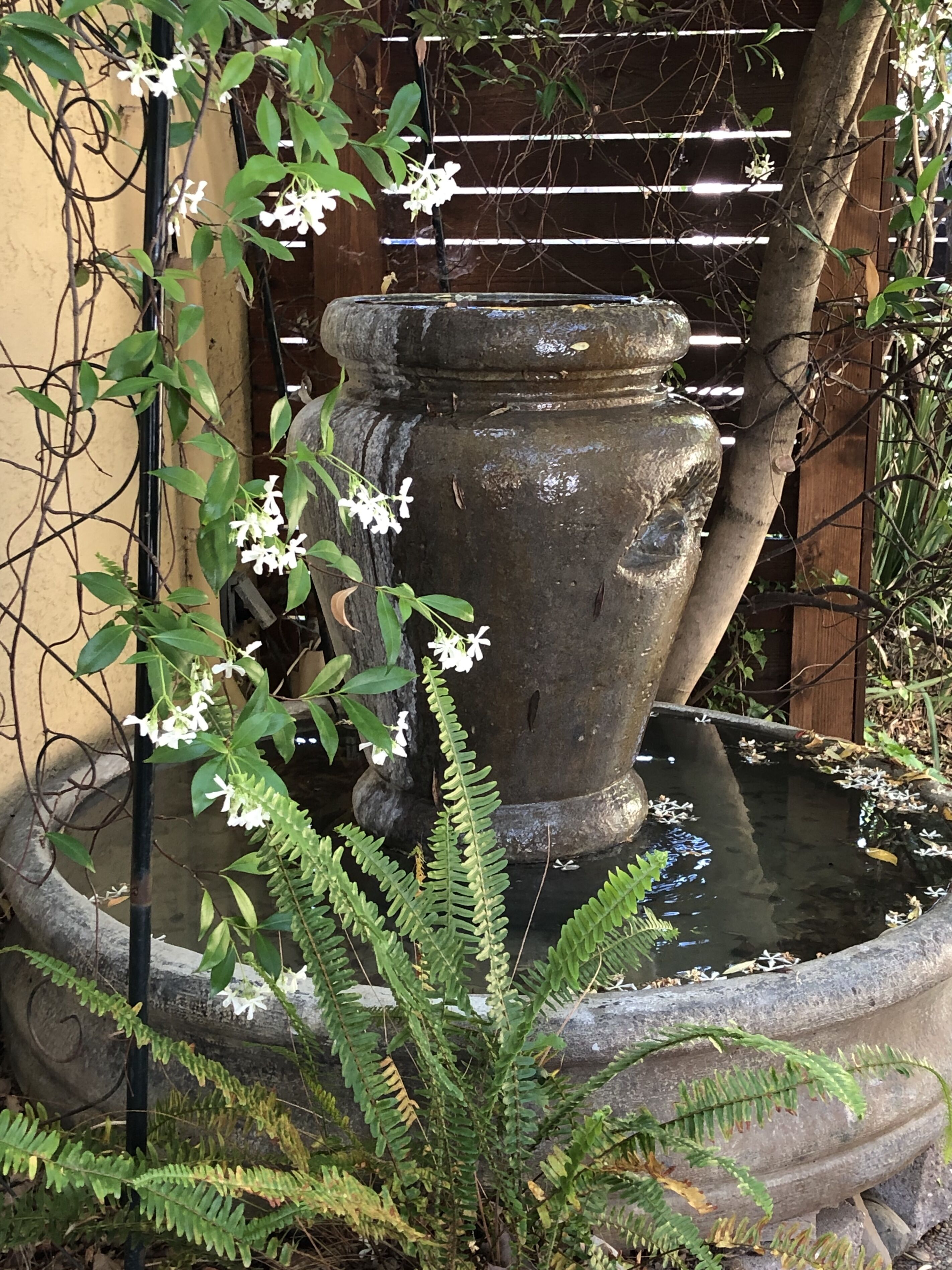 A stone fountain with water, surrounded by greenery and white flowers.
