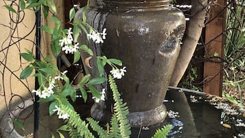 A stone fountain with water, surrounded by greenery and white flowers.